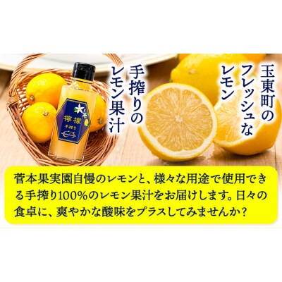 ＼先行予約スタート/ レモン 約2kg 手搾り100%レモン果汁 1本《12月中旬‐2月末頃出荷》