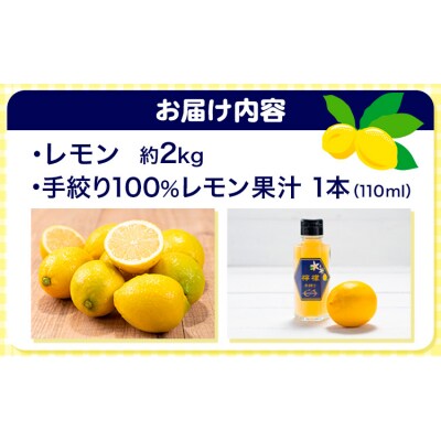 ＼先行予約スタート/ レモン 約2kg 手搾り100%レモン果汁 1本《12月中旬‐2月末頃出荷》