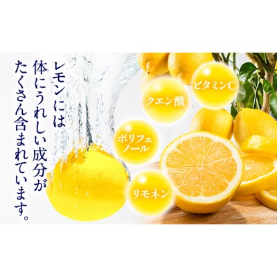 ＼先行予約スタート/ レモン 約2kg 手搾り100%レモン果汁 1本《12月中旬‐2月末頃出荷》