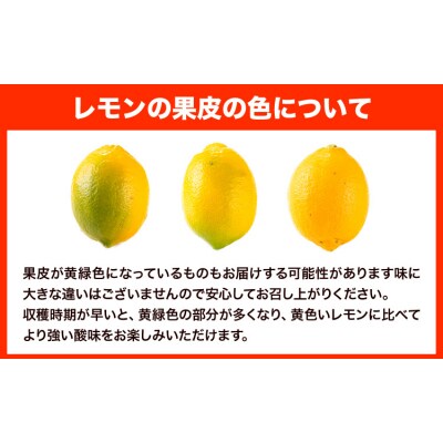 ＼先行予約スタート/ レモン 約2kg 手搾り100%レモン果汁 1本《12月中旬‐2月末頃出荷》