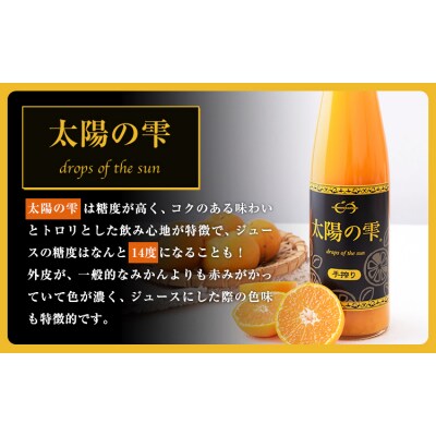 ＼先行予約スタート/ こだわりのみかん100%ストレートジュース《11月下旬-3月末頃出荷》