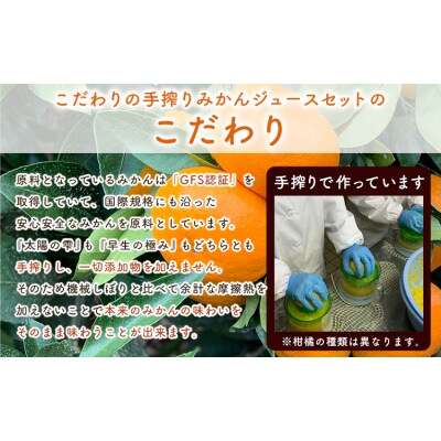 ＼先行予約スタート/ こだわりのみかん100%ストレートジュース《11月下旬-3月末頃出荷》