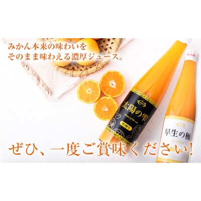 ＼先行予約スタート/ こだわりのみかん100%ストレートジュース《11月下旬-3月末頃出荷》