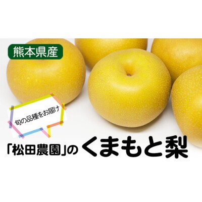 【先行予約】秋 旬 梨 松田農園 の くまもと 梨 約2kg 5-7玉前後《7月下旬-9月末頃出荷》