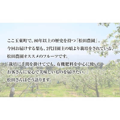 【先行予約】秋 旬 梨 松田農園 の くまもと 梨 約2kg 5-7玉前後《7月下旬-9月末頃出荷》