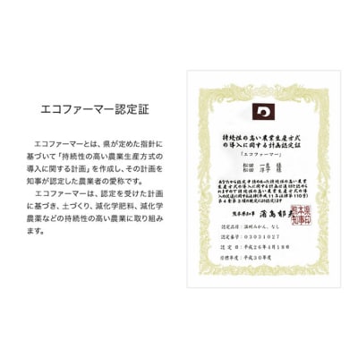 【先行予約】秋 旬 梨 松田農園 の くまもと 梨 約2kg 5-7玉前後《7月下旬-9月末頃出荷》