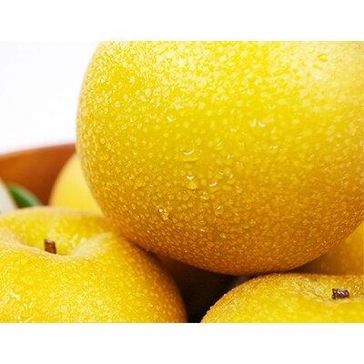 『緑伸園』旬の梨 旬の品種をお届け 約3kg 4-8玉前後《8月中旬-9月下旬頃出荷》