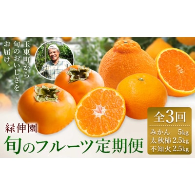 【先行予約】全3回 旬のフルーツ定期便 みかん 柿 不知火 緑伸園《9月下旬-1月下旬頃出荷》