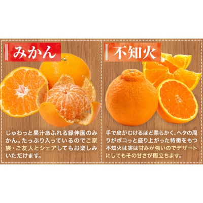 【先行予約】全4回 旬のフルーツ定期便 梨 みかん 柿 不知火 緑伸園《8月中旬-1月下旬頃出荷》