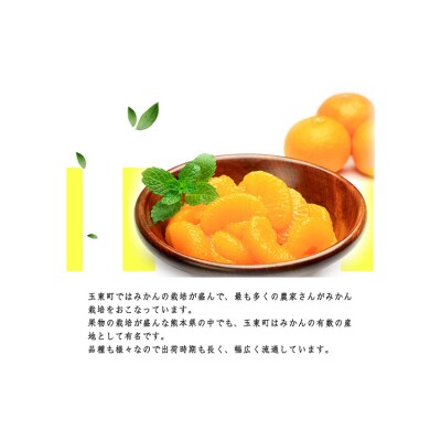 『坂田農園』の秀品 みかん 約5kg(2S-L サイズ)【日付指定不可】《10月上旬‐1月末頃出荷》