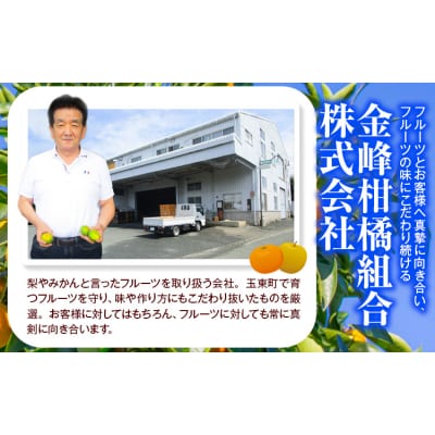 みかん 約5kg (2S-2Lサイズ) 金峰柑橘組合株式会社 《10月中旬-1月中旬頃出荷》