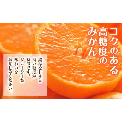 みかん 約5kg (2S-2Lサイズ) 金峰柑橘組合株式会社 《10月中旬-1月中旬頃出荷》