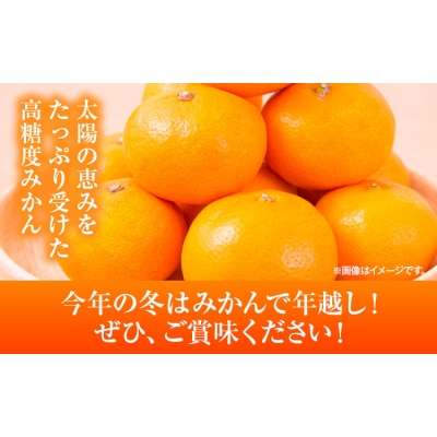 みかん 約5kg (2S-2Lサイズ) 金峰柑橘組合株式会社 《10月中旬-1月中旬頃出荷》