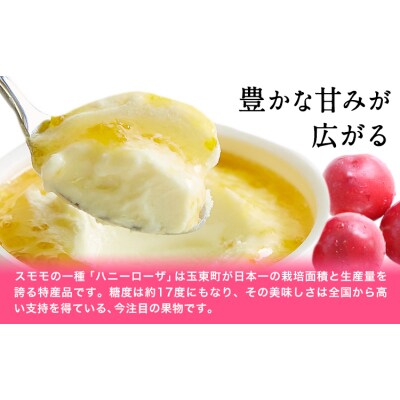 ハニーローザアイスクリーム 120ml 8個 玉東町 《60日以内に出荷予定(土日祝除く)》