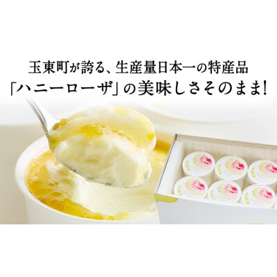 ハニーローザアイスクリーム 120ml 12個  玉東町 《60日以内に出荷予定(土日祝除く)》