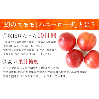 ハニーローザをジャムに!コンフィチュールセット2個 玉東町《60日以内に出荷予定(土日祝除く)》