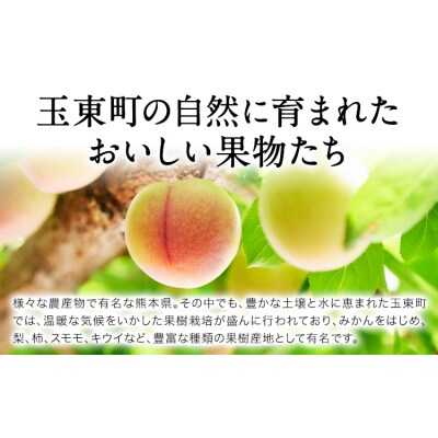 ハニーローザをジャムに!コンフィチュールセット2個 玉東町《60日以内に出荷予定(土日祝除く)》
