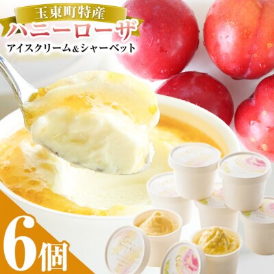 ハニーローザアイス&シャーベット 120ml 6個 《60日以内に出荷予定(土日祝除く)》