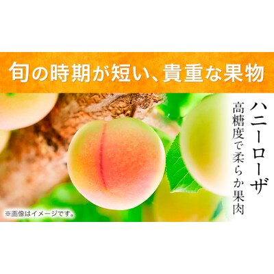 ハニーローザアイス&シャーベット 120ml 8個 《60日以内に出荷予定(土日祝除く)》