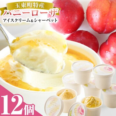 ハニーローザアイス&シャーベット 120ml 12個 《60日以内に出荷予定(土日祝除く)》