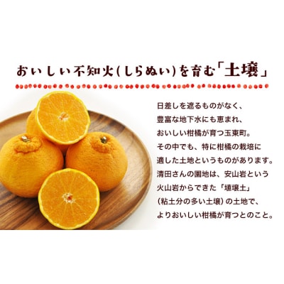 『清晃アグリ』のご家庭用不知火(しらぬい)約4kg(L-4Lサイズ)10玉-16玉前後