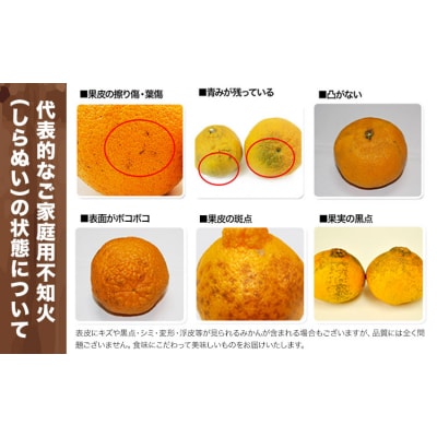 『清晃アグリ』のご家庭用不知火(しらぬい)約4kg(L-4Lサイズ)10玉-16玉前後