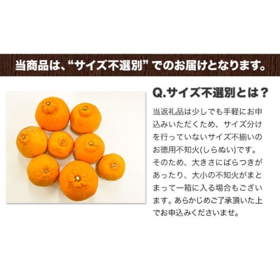 『清晃アグリ』のご家庭用不知火(しらぬい)約4kg(L-4Lサイズ)10玉-16玉前後