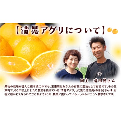 ご家庭用『清晃アグリ』のご家庭用みかん★約4kg(2S-2Lサイズ)