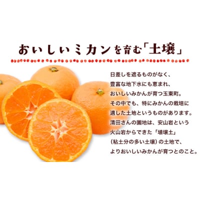 ご家庭用『清晃アグリ』のご家庭用みかん★約4kg(2S-2Lサイズ)