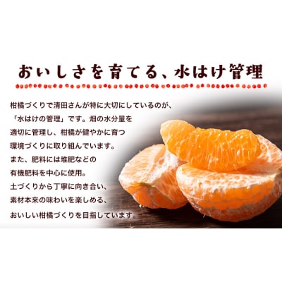『清晃アグリ』のご家庭用ポンカン 約4kg(M-3Lサイズ)