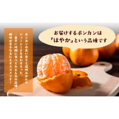 『清晃アグリ』のご家庭用ポンカン 約4kg(M-3Lサイズ)