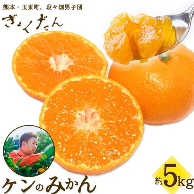 ぎょくだんケンのみかん 約5kg ぷらっとぎょくとう 《11月下旬-12月中旬頃出荷》