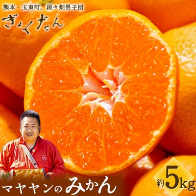 ぎょくだんマヤヤンのみかん 約5kg ぷらっとぎょくとう 《11月中旬-12月中旬頃出荷》熊本県