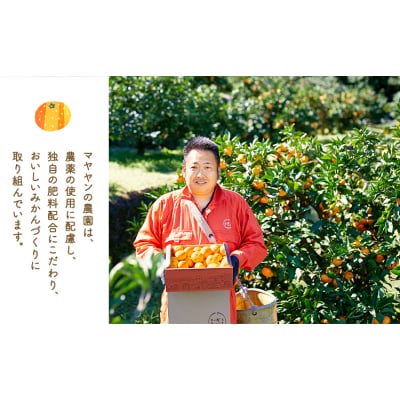 ぎょくだんマヤヤンのみかん 約5kg ぷらっとぎょくとう 《11月中旬-12月中旬頃出荷》熊本県