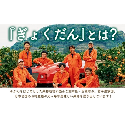 ぎょくだんマヤヤンのみかん 約5kg ぷらっとぎょくとう 《11月中旬-12月中旬頃出荷》熊本県