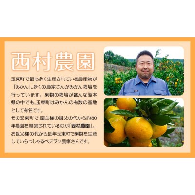 ご家庭用『西村農園』のご家庭用みかん★約5kg(2S-2Lサイズ) 