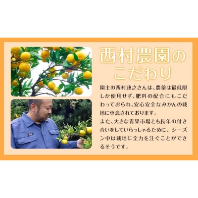 ご家庭用『西村農園』のご家庭用みかん★約5kg(2S-2Lサイズ) 