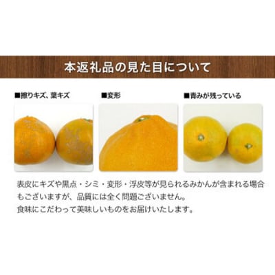 ご家庭用『西村農園』のご家庭用みかん★約5kg(2S-2Lサイズ) 