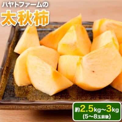 『ハヤトファーム』の太秋柿 約2.5kg～3kg 5-8玉前後 | ふるさと納税のお礼品