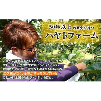 『ハヤトファーム』の太秋柿 約2.5kg～3kg 5-8玉前後