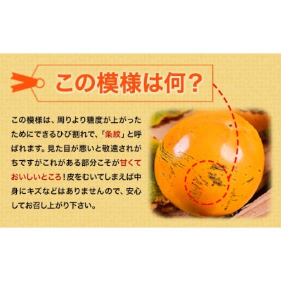 『ハヤトファーム』の太秋柿 約2.5kg～3kg 5-8玉前後