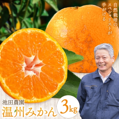 温州みかん 3kg 池田農園《11月上旬-12月末頃出荷》熊本県 玉名郡 玉東町 みかん ミカン 
