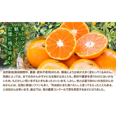 温州みかん 3kg 池田農園《11月上旬-12月末頃出荷》熊本県 玉名郡 玉東町 みかん ミカン 