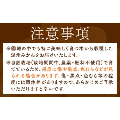 温州みかん 3kg 池田農園《11月上旬-12月末頃出荷》熊本県 玉名郡 玉東町 みかん ミカン 