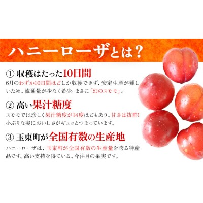 ハニーローザシャーベット 6個 ぷらっとぎょくとう《60日以内に出荷(土日祝除く)》 熊本県 玉名郡