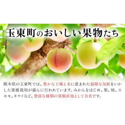 ハニーローザシャーベット 12個 ぷらっとぎょくとう《60日以内に出荷予定(土日祝除く)》 熊本県 