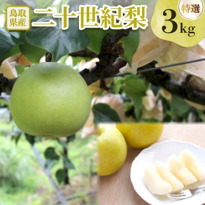 二十世紀梨　特選3kg