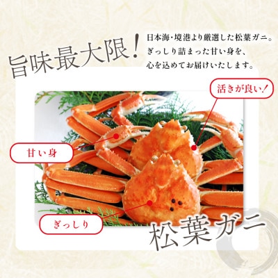 【蒸し】訳あり足折れ松葉ガニ 1.5kg前後