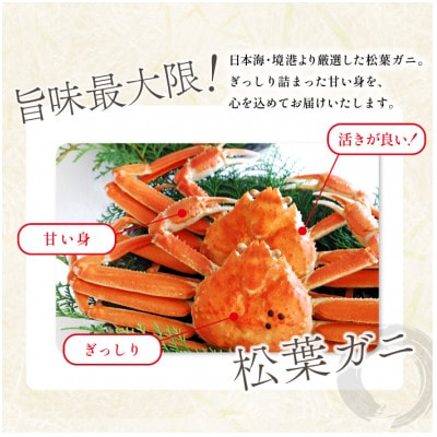 【蒸し】訳あり足折れ松葉ガニ 1kg前後
