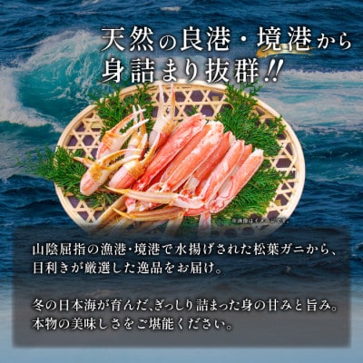 【活き】ご自宅用松葉ガニ　大　1枚